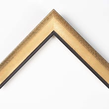 Gold Foil with Black Lip Custom Frame